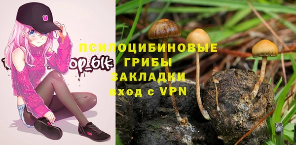 мдма Корсаков