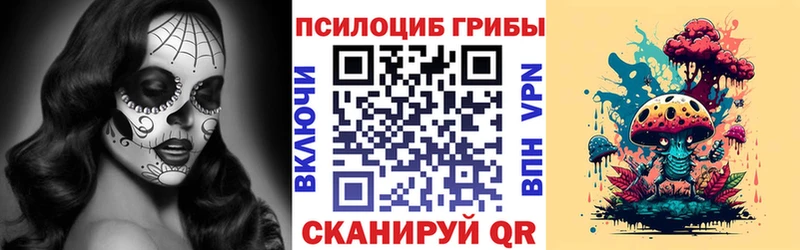 Купить  Цивильск  Псилоцибиновые грибы Cubensis 